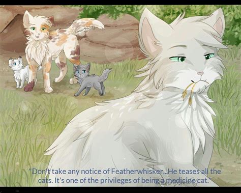 Questionclan Thunderclan Medicine Cats Warriors Amino