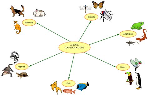 SWEELEE'S LAND: 2. GROUPING OF ANIMALS