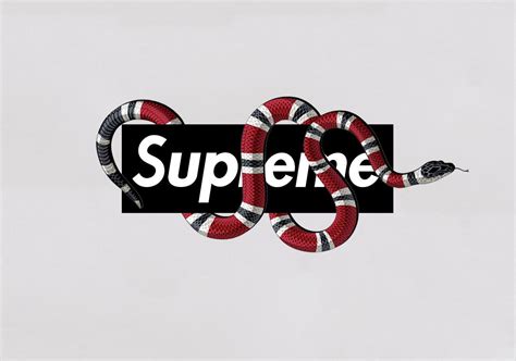 There is also a fan page, where people are sharing pictures of their screens. Gucci Supreme Wallpapers - Wallpaper Cave