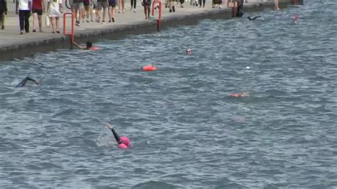 Swim Across America Chicago Swimmers Take On Lake Michigan Waves For Cancer Research Abc7 Chicago
