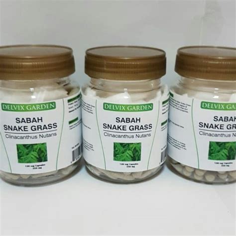 There's no need to apply cosmetics containing harmful ingredients just to retain that youthful glow. Sabah Snake Grass Capsules Clinacanthus Nutans for Healthy ...