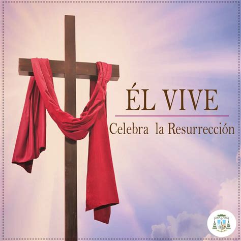 Domingo De Pascua Misa Del Día † Evangelio De Hoy Según San Juan 201