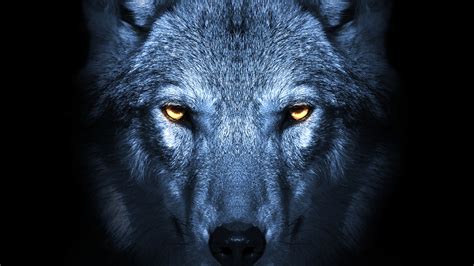 Android users need to check their android version as it wolf wallpaper ps4 (0). Wolf Eyes Theme on PS4 | Official PlayStation™Store Canada