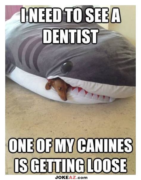 today s dental humor south bay dentistry and orthodontics