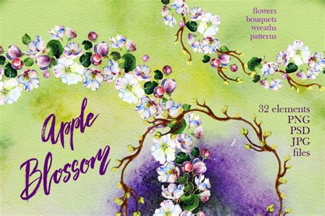 Apple Blossom Watercolor By Ira Dvilyuk Thehungryjpeg