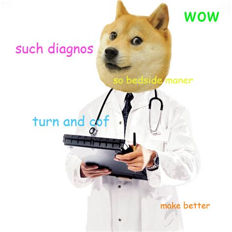 Image 657883 Doge Know Your Meme