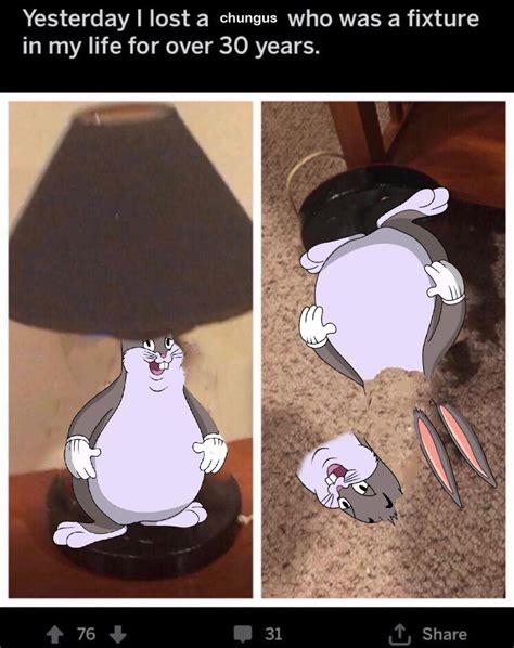 Yesterday I Lost A Chungus Ironic Big Chungus Memes Know Your Meme