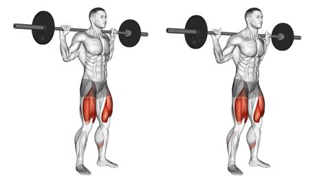 Low Bar Vs High Bar Squat 6 Major Differences Explained Inspire Us