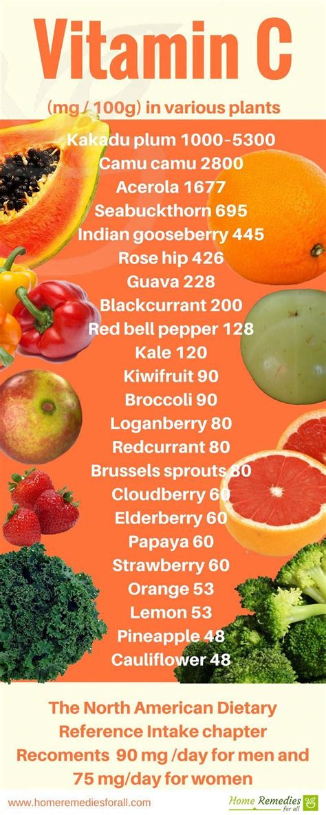 Add vitamin C rich foods in your daily diet to keep you ...