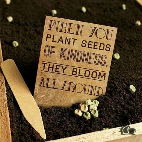When You Plant Seeds Of Kindness They Bloom All Around Bloom Where
