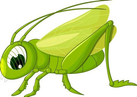 Green Grasshopper Clipart World
