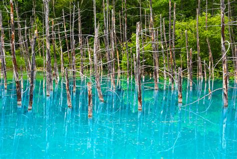 Der Blue Pond In Biei Japan Urlaubsgurude