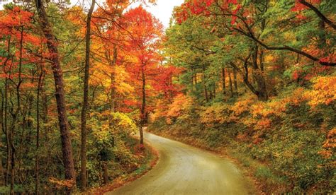 Scenic Fall Drives In Wncs Central Region Follow These Routes To