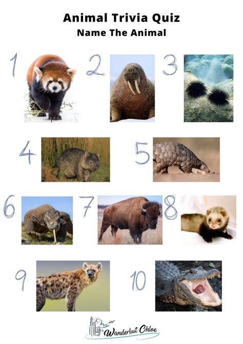 50 Animal Trivia Questions To Test Your Knowledge 2023 Guide