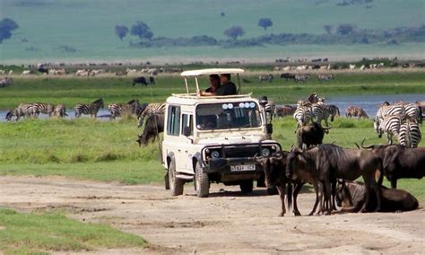 4 Days Serengeti And Ngorongoro Crater Safari Tanzania Safari