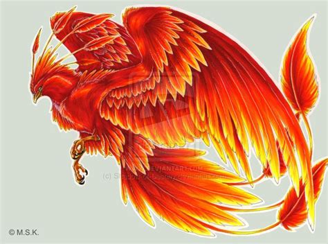 View Topic National Bird Phoenix Drawing Phoenix Artwork Phoenix Tattoo Design