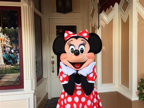 Dining Review Of Character Breakfast With Minnie And Friends At The