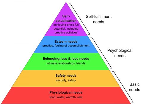 14 Human Needs And Developmental Stages Nursing Assistant