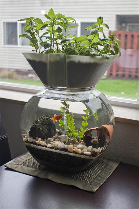 Transform a large tray with a collection of tiny plants in an use this mini garden as an ideal place to display a couple of geological treasures, collected on a trip. Everything you need to know about aquaponics | Sensi Seeds ...