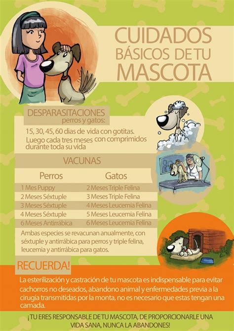 Trato Responsable De Los Animales Infografía Para Descargar Y