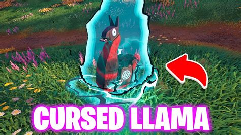 Help In Hunting Cursed Llamas Fortnite YouTube