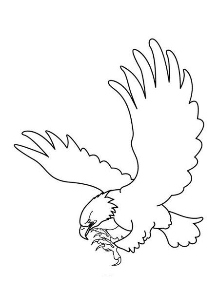 21 gambar burung merpati putih yang cantik gambar pedia sumber : Sketsa Gambar Burung Hantu,Merak,Garuda,Elang | gambarcoloring