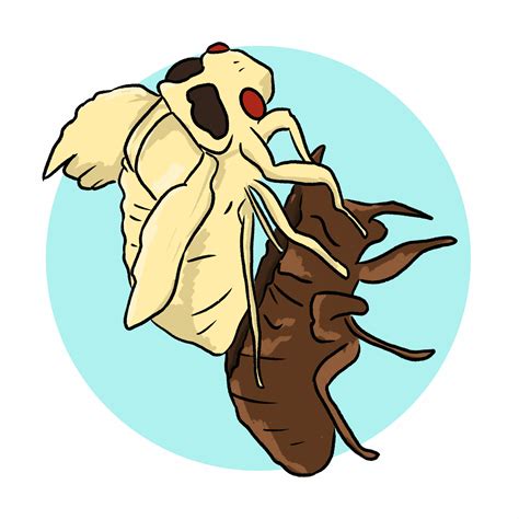 Russell Tree Experts — Brood X Cicada Facts And Tips