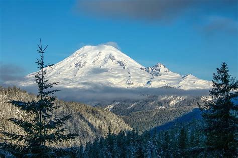 Mount Rainier Appearance Photograph By Lynn Hopwood Fine Art America