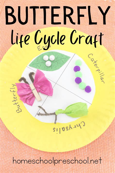 Butterfly Life Cycle Crafts For Kids