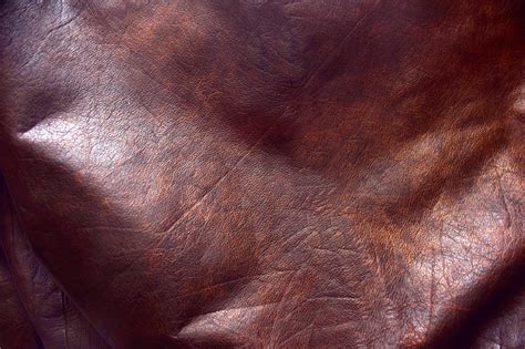 Genuine Leather 2 Free Stock Photo Public Domain Pictures