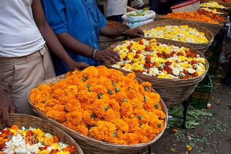 Visit These Flower Markets In India For Morning Photography