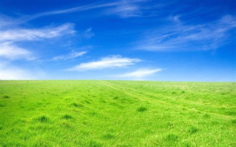 Landscape Grass Field Wallpapers Hd Desktop And Mobile Backgrounds