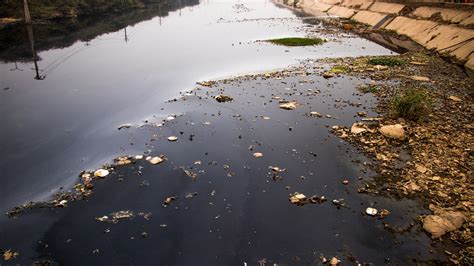 Brasil perde 15 de superfície de água desde o começo dos anos 1990