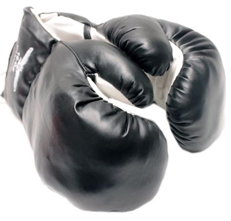 1 Pair Of New Boxing Punching Gloves And Fitness Training Black