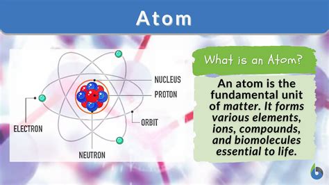 Atom Definition And Examples Biology Online Dictionary