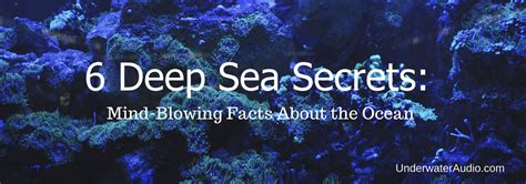 6 Deep Sea Secrets Mind Blowing Facts About The Ocean Underwater Audio