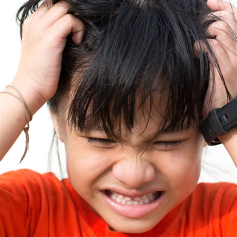 Images Of Lice Bites On Scalp The More Time You Spend With Gezegen