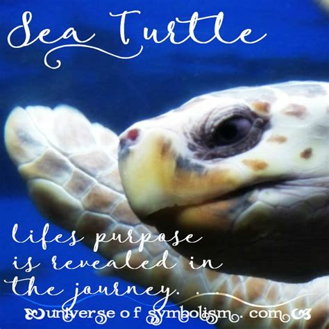 Turtle Symbolism And Meaning Turtle Spirit And Totem Animal Guidance