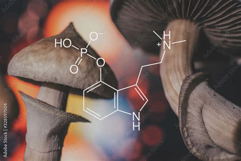 Chemical Formula Of Psilocybin On A Blackboard Mushroom Psilocybin