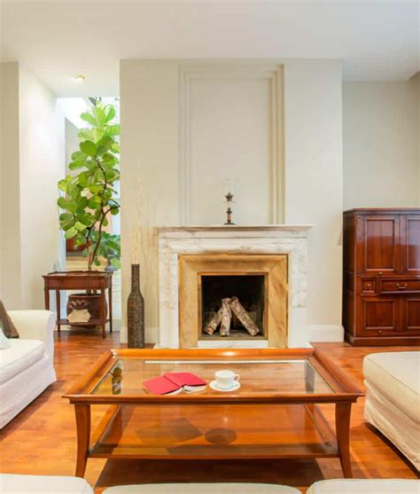 101 Beautiful Living Rooms with Fireplaces of All Types (Photos)
