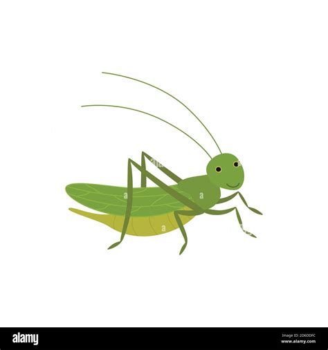Cartoon Funny Cricket Vector Illustration Isolated On White Background