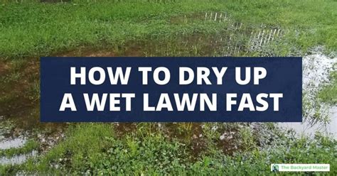 How To Dry Up A Wet Yard Fix Your Soggy Lawn The Backyard Master