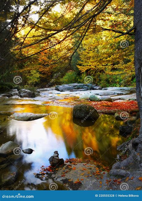 Colorful Autumn Forest Water Reflection Background Stock Photo Image