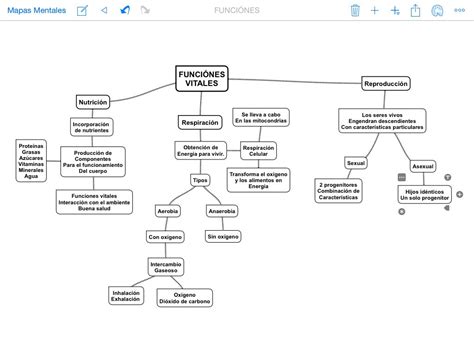 Mapa Conceptual De Las Mitocondrias Diary Bersama The Best Porn Website