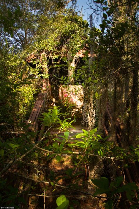 What Was Once An Amusement Park Resembles An Old Tree House Lawless