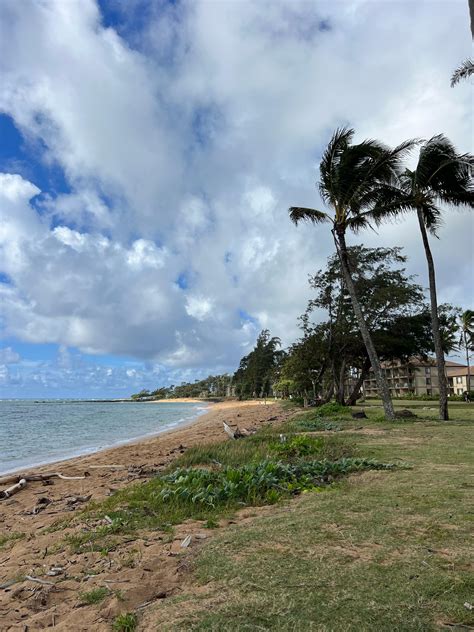 Sheraton Kauai Coconut Beach Resort In Kapaa Find Hotel Reviews Rooms