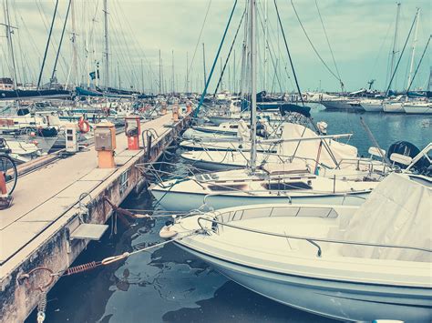 Yachts In Marina Free Stock Photo Public Domain Pictures