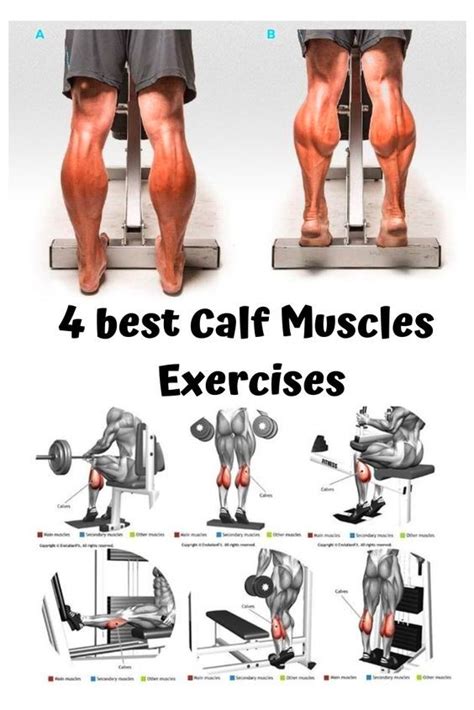 A Simple Workout To Build Big Calves Fitness And Power Calf Muscle Workout Gym Workouts For