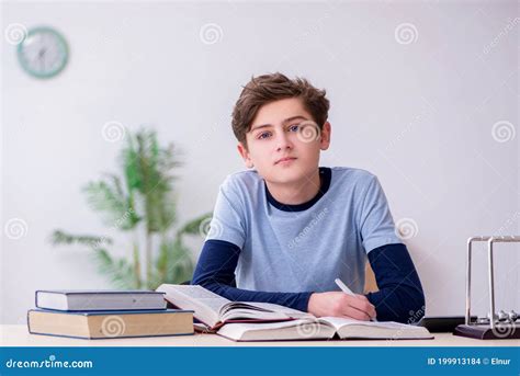 Schoolboy Studying Physics At Home Stock Photo Image Of College