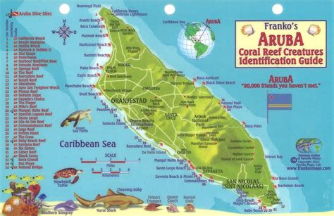 Aruba Reef Creatures Identification Guide By Frankos Maps Ltd Aruba